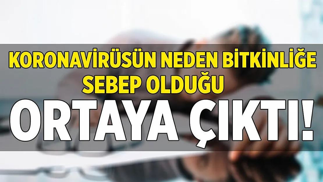 Koronavirüsün neden bitkinliğe sebep olduğu ortaya çıktı!
