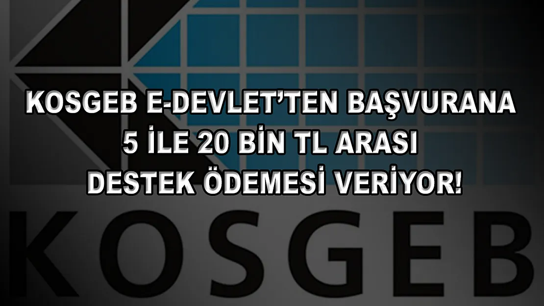 KOSGEB E-Devlet'ten başvurana 5 ile 20 bin TL arası destek ödemesi veriyor!