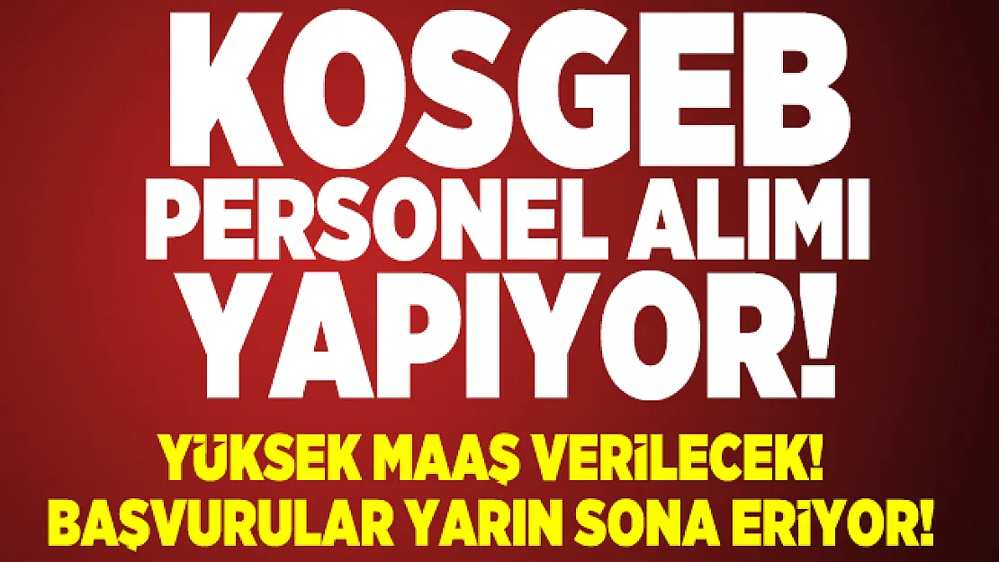 KOSGEB yüksek maaşla personel alımı yapıyor! Başvurular yarın sona eriyor
