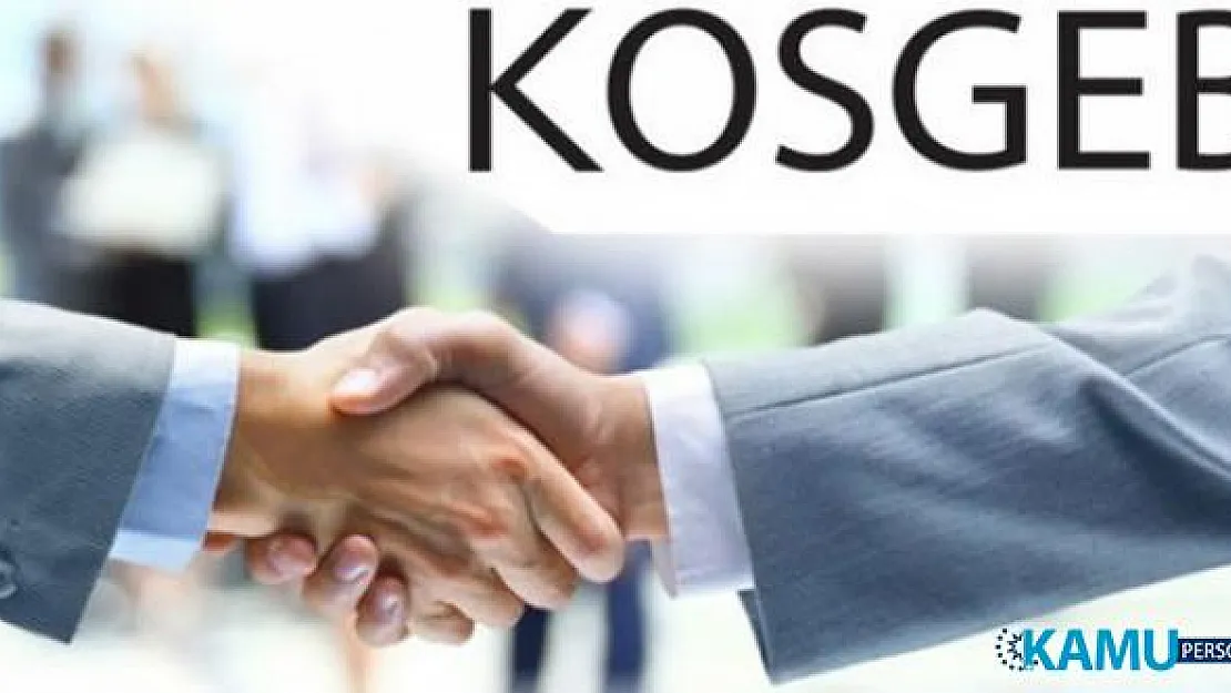 KOSGEB'den 370 Bin TL'ye Kadar Kredi Desteği Verilecek! Kimler Yararlanabilir? Başvurular Nasıl Yapılacak?