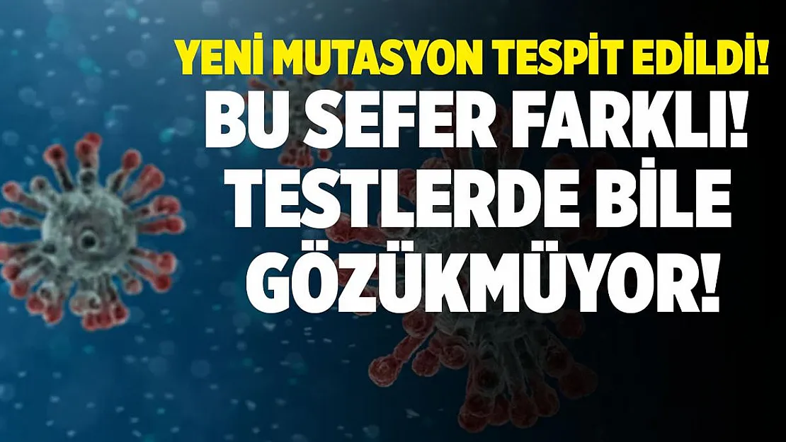 Kötü haber geldi! Yeni mutasyon tespit edildi! Bu sefer..