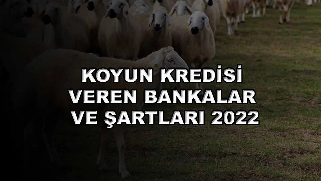 Koyun Kredisi Veren Bankalar ve Şartları 2022