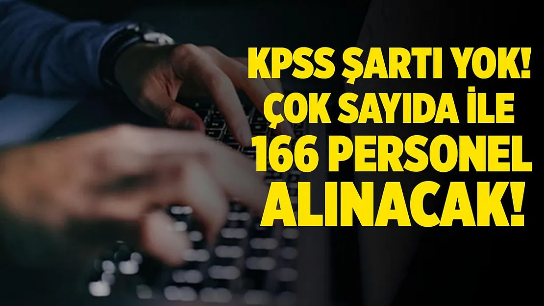 KPSS şartı aranmıyor! Kamuya 166 personel alınacak!