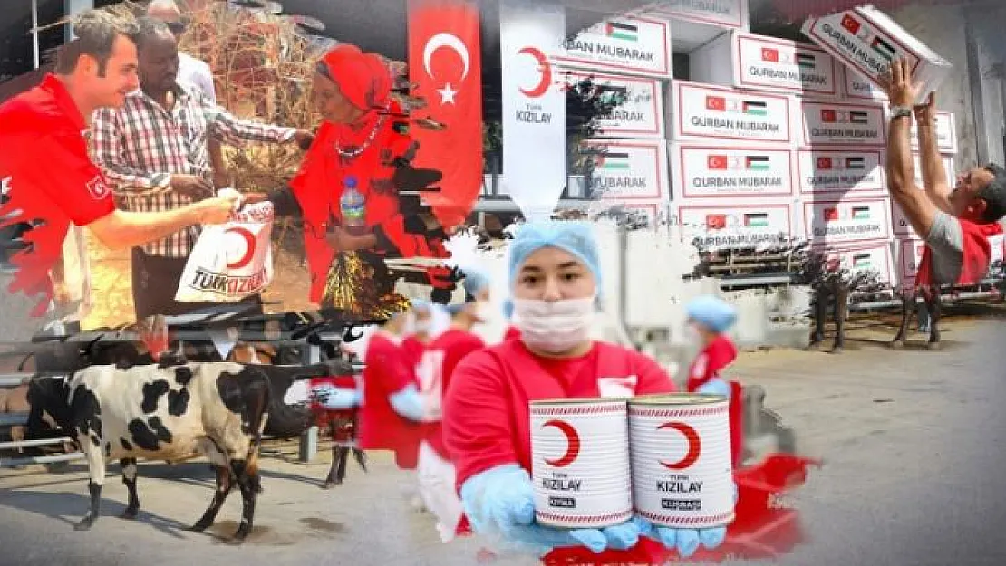 KPSS Şartsız en az lisans mezunu erkek kadın personel alımı yapılacak! Kızılay iş ilanı başvuru şartları kesinleşti