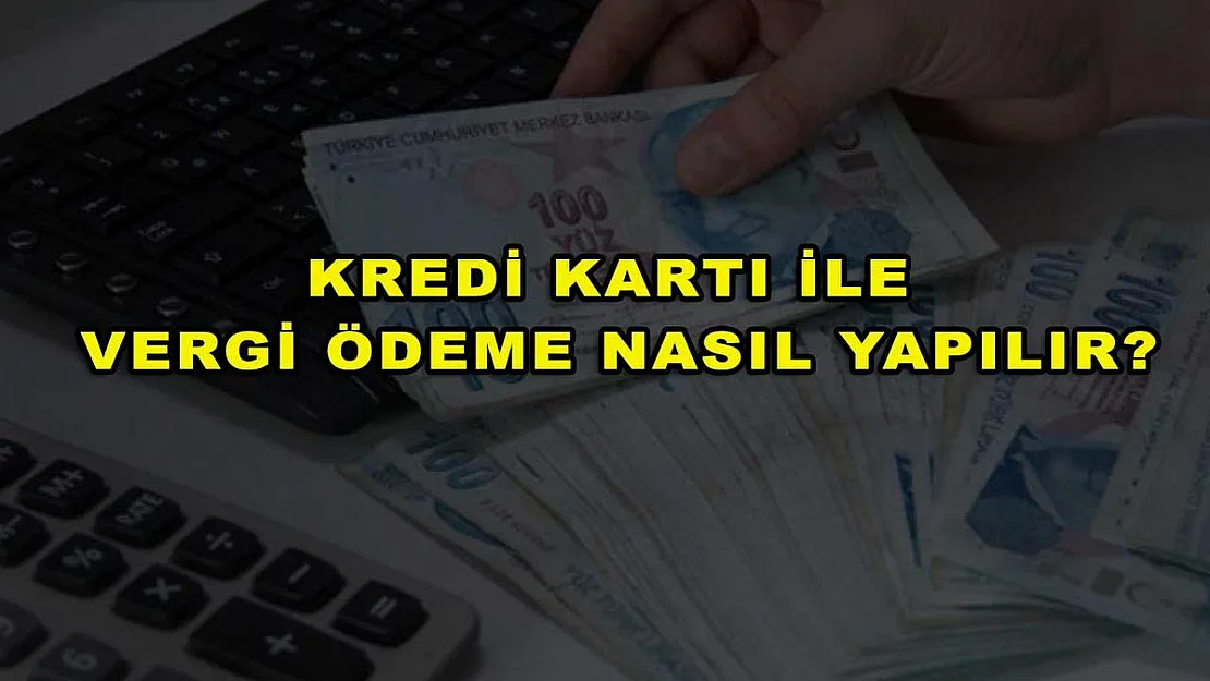 Kredi Kartı ile Vergi Ödeme Nasıl Yapılır?