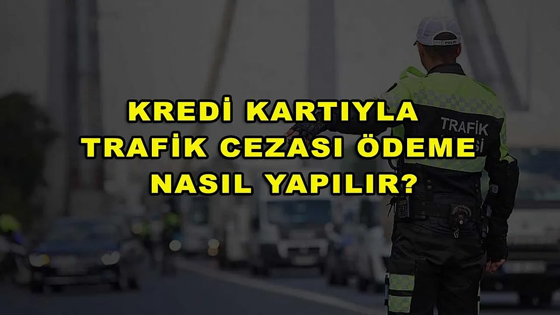 Kredi Kartıyla Trafik Cezası Ödeme Nasıl Yapılır?