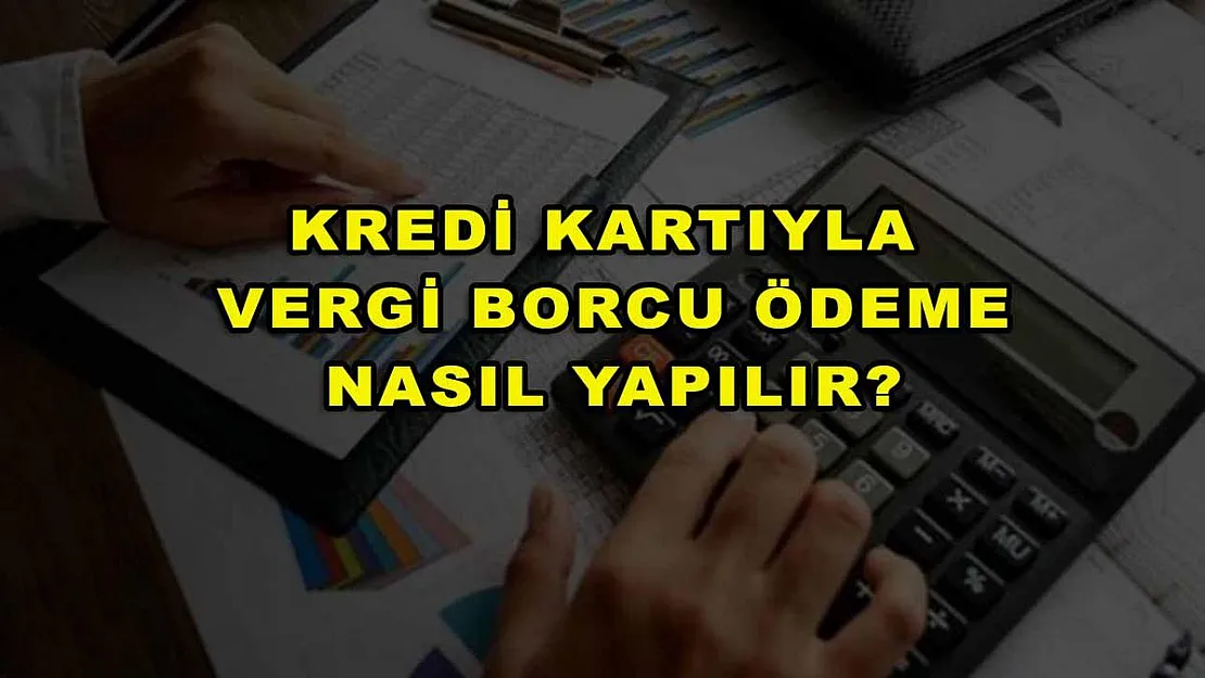 Kredi Kartıyla Vergi Borcu Ödeme Nasıl Yapılır?