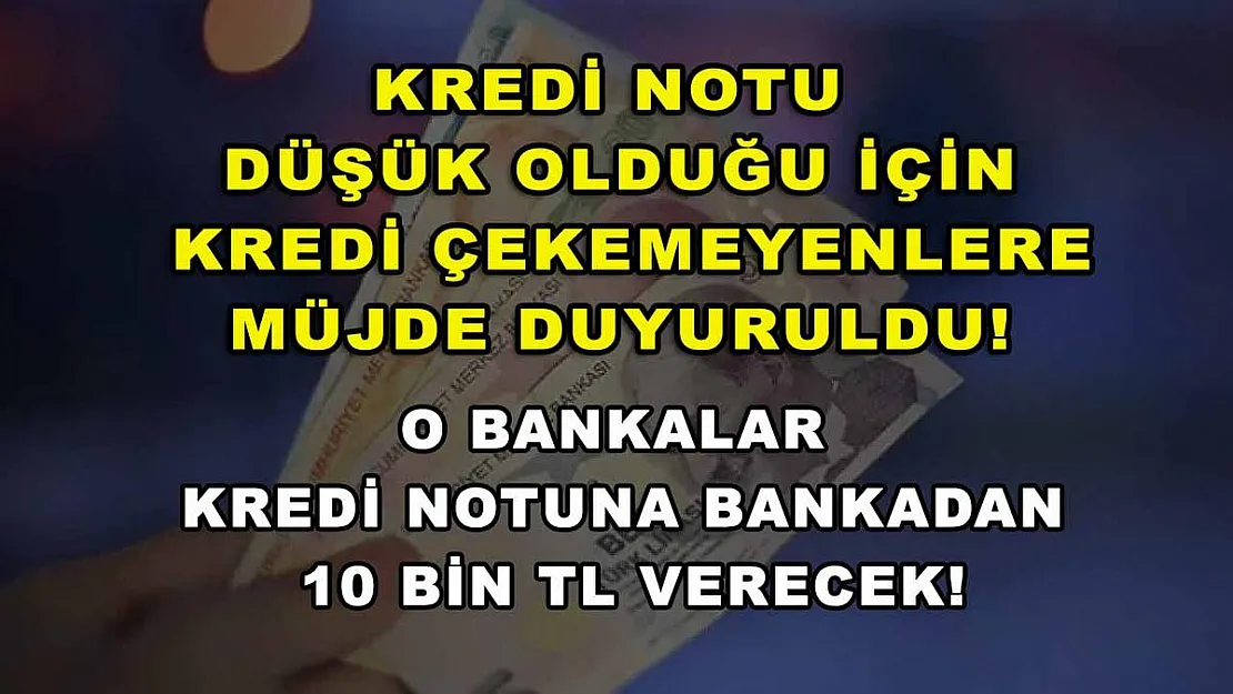 Kredi notu düşük olduğu için kredi çekemeyenlere müjde duyuruldu! O bankalar kredi notuna bankadan 10 bin TL verecek!