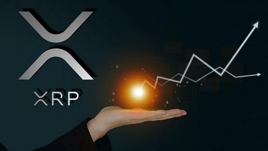 Kripto Para Nedir? Altcoin Nedir?