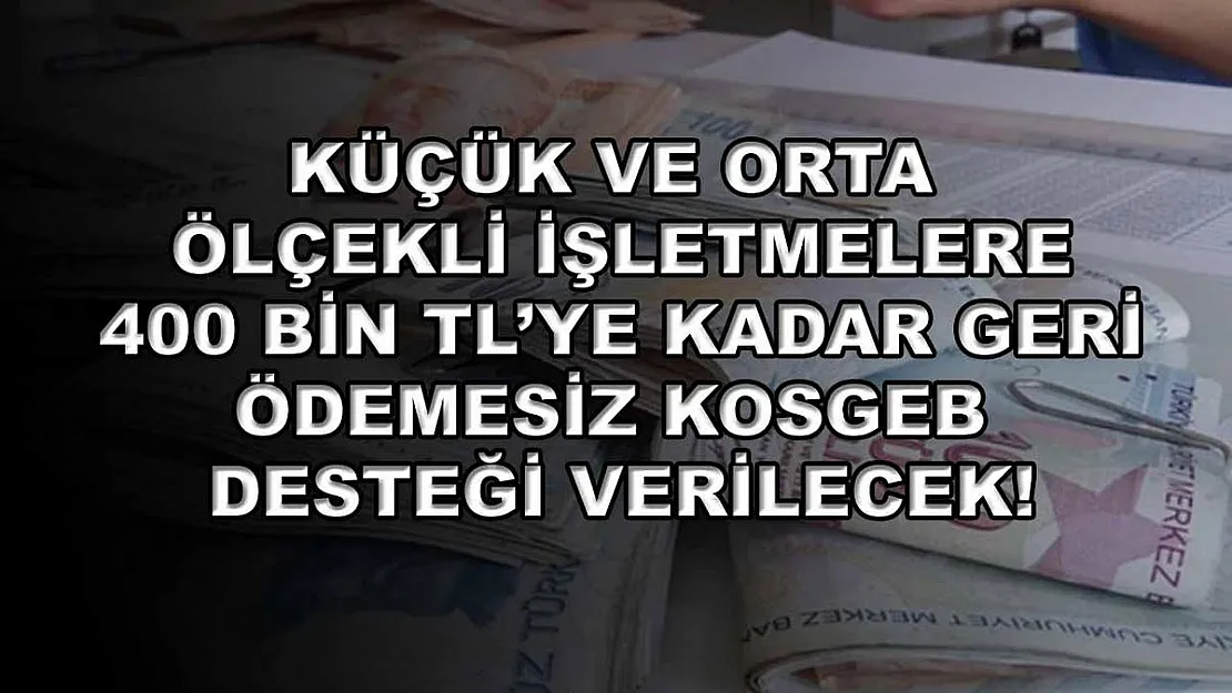 Küçük ve orta ölçekli işletmelere 400 bin TL'ye kadar geri ödemesiz KOSGEB desteği verilecek!