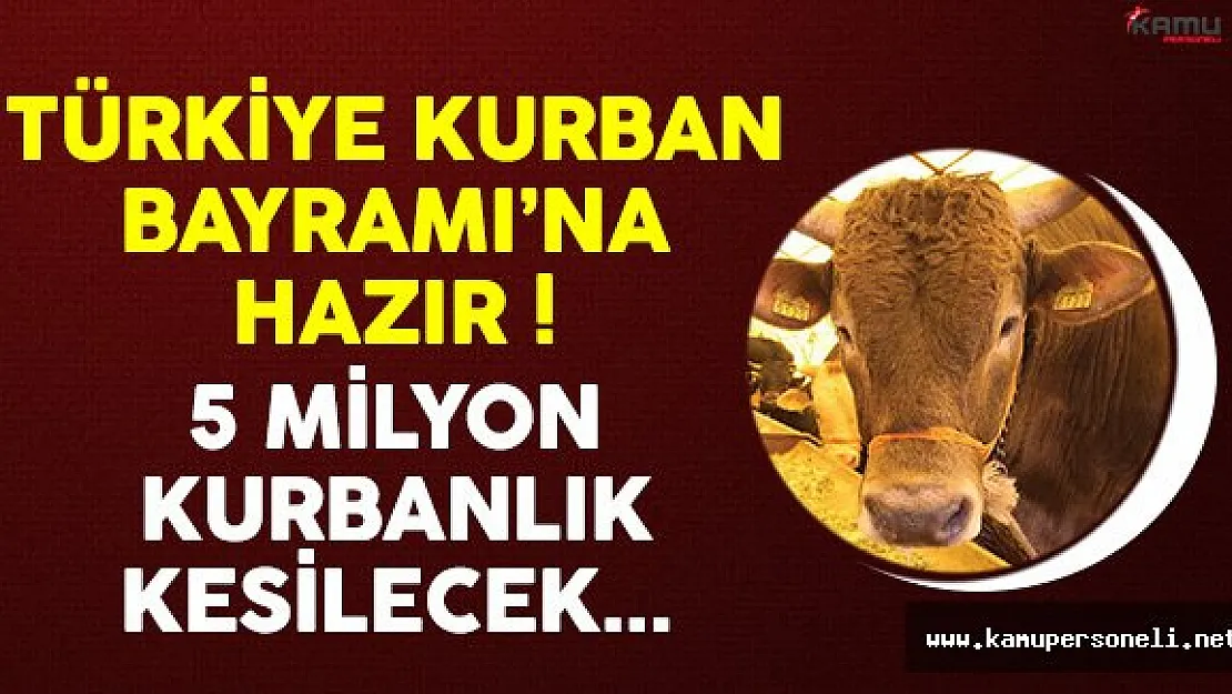 Kurban Bayramı İçin 5 Milyon Kurbanlık Hazır !
