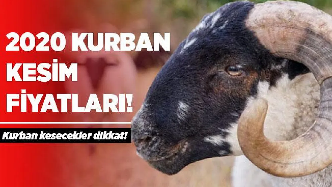Kurban kesecekler dikkat! Kurban kesim ücretleri! 2020 büyükbaş, küçükbaş kesim ücretleri..