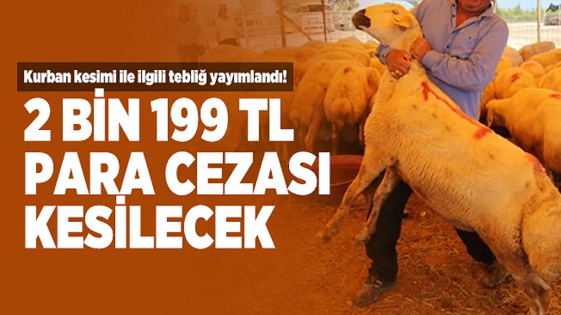 Kurban kesimi ile ilgili tebliğ yayımlandı! 2 bin 199 TL idari para cezası kesilecek