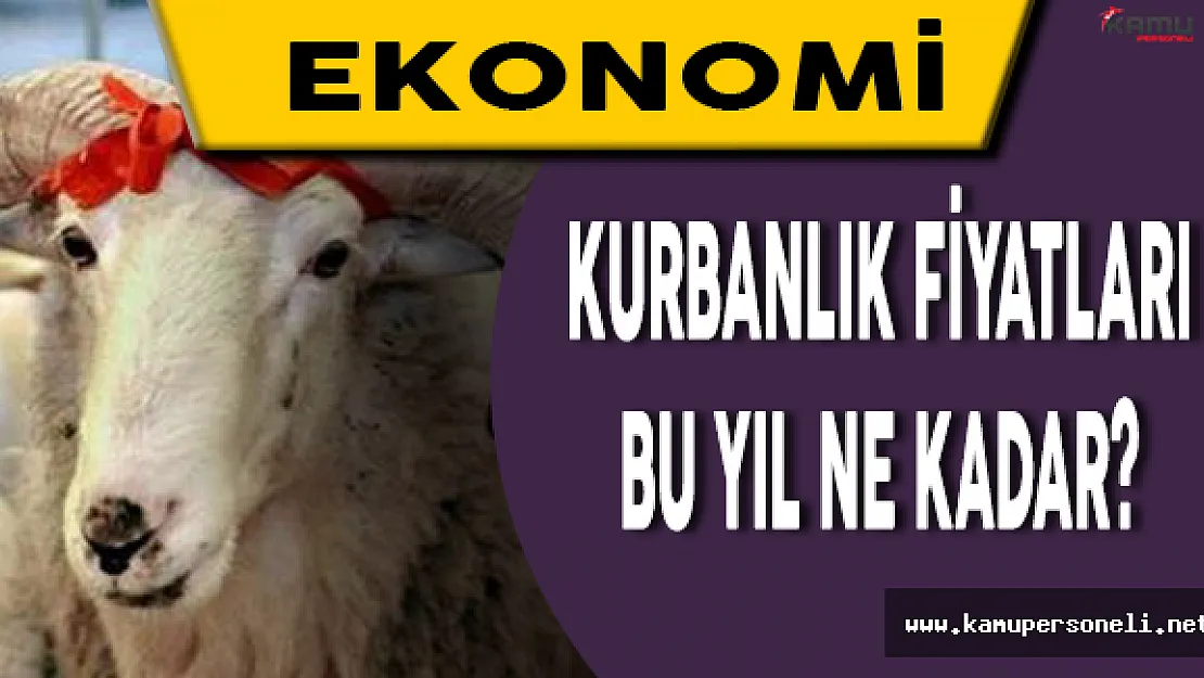 Kurbanlık Fiyatları İkinci El Araba Parası Gibi