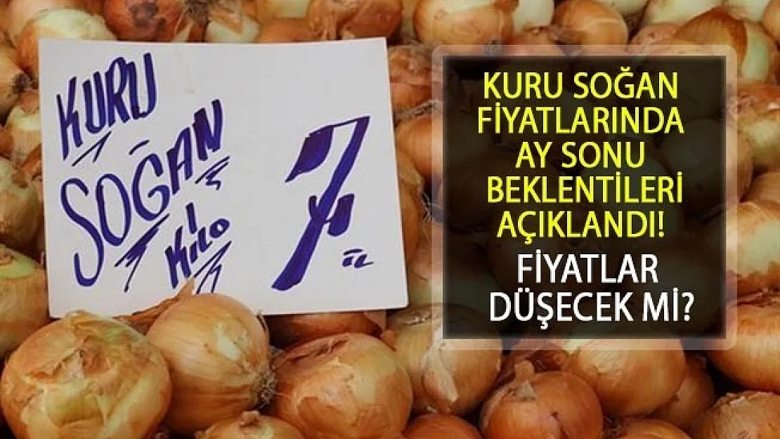 Kuru Soğan Fiyatları Hakkında Ay Sonu Beklentileri Açıklandı! Kuru soğan fiyatı düşecek mi?