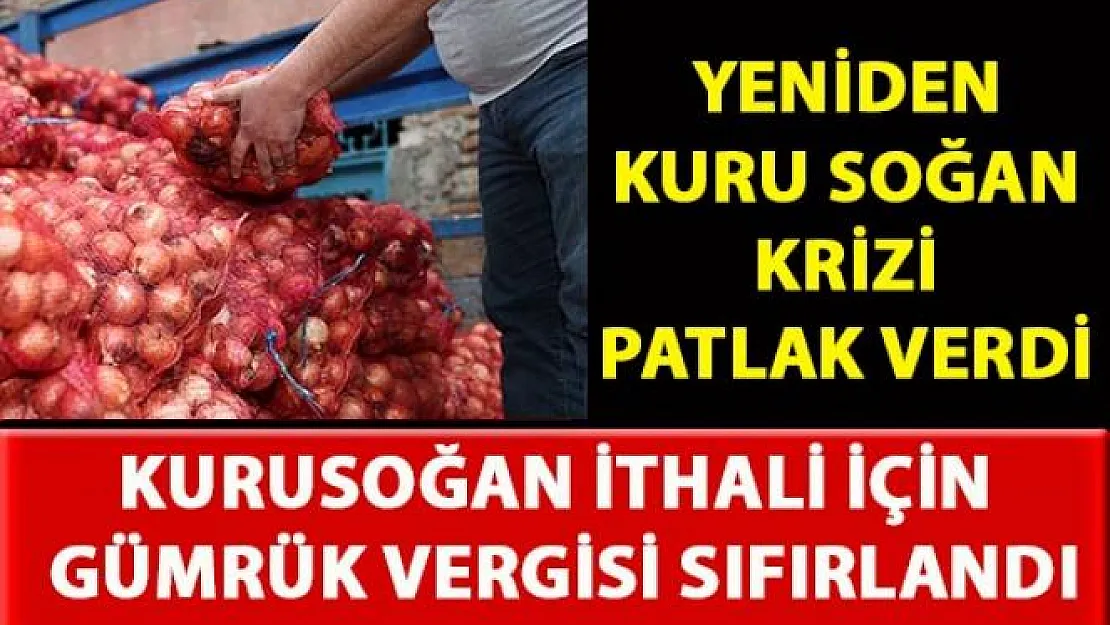 Kuru soğan ithalatında gümrük vergisi sıfırlandı