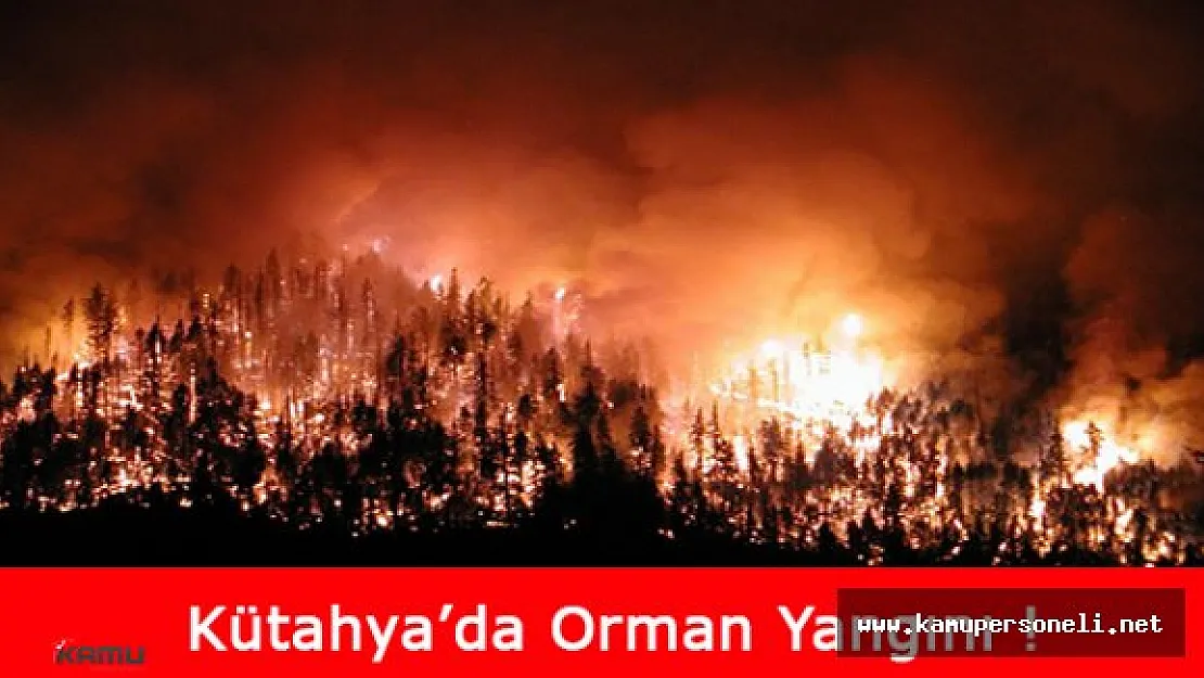 Kütahya'da Çıkan Orman Yangınında 100 Hektarın Üzerinde Çamlık Zarar Gördü