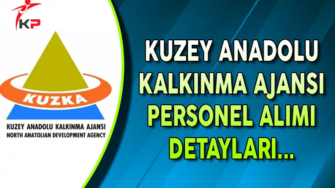 Kuzey Anadolu Kalkınma Ajansı Kamu Personel Alımı Başvuru Detayları
