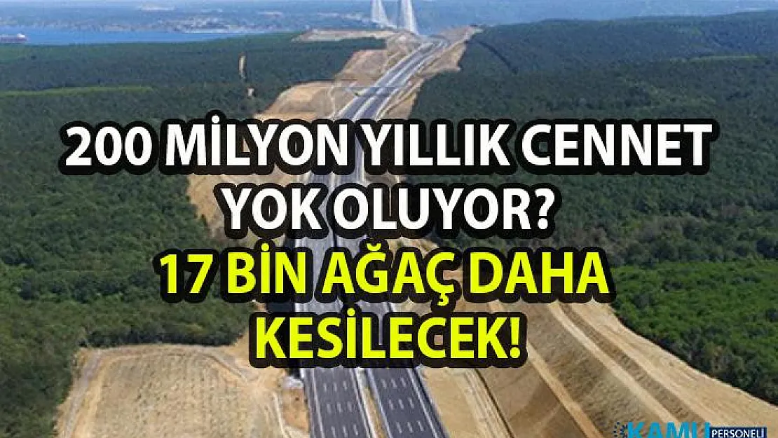Kuzey Marmara Otolu Bağlantı Yolları Projesi onaylandı! Ballıkaya tabiat parkı yok edilecek!