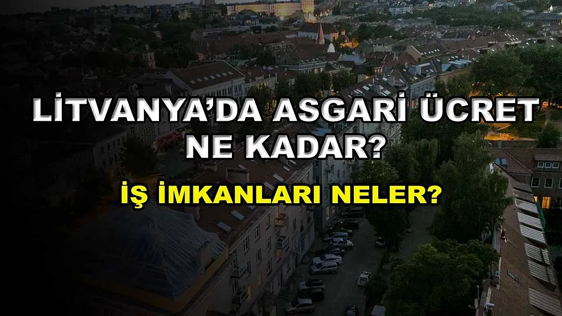 Litvanya'da Asgari Ücret Ne Kadar? İş İmkanları Neler?