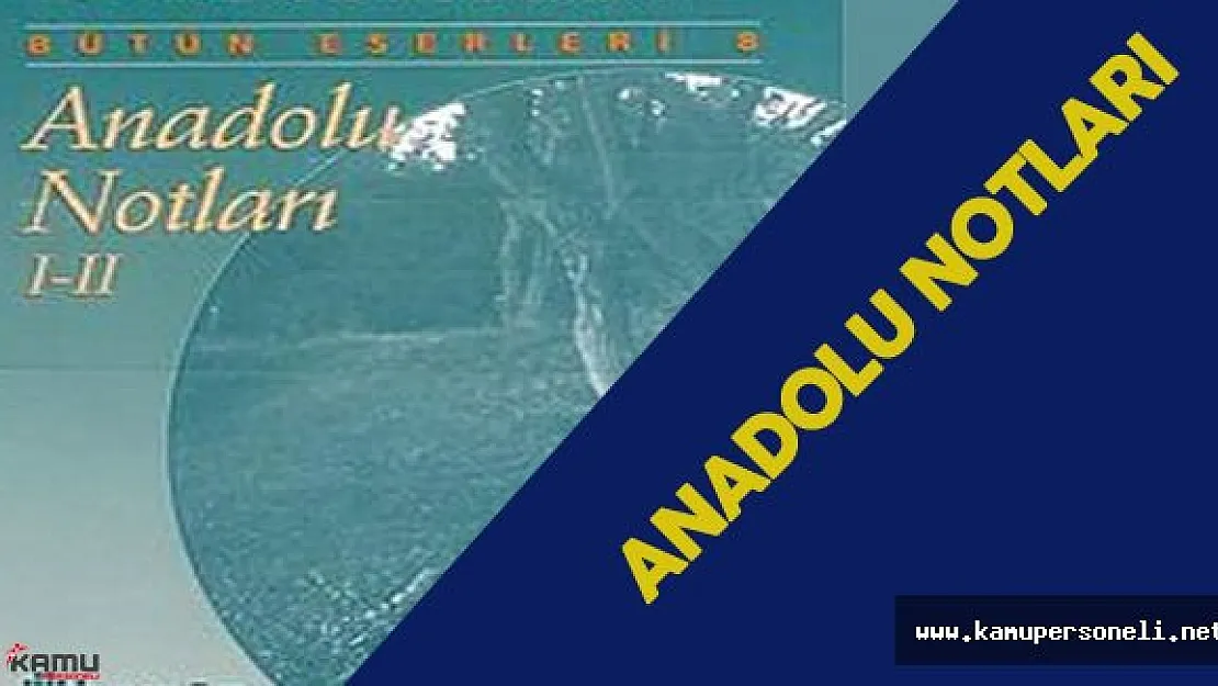 LYS 3'de Anadolu Notları Soruldu - Anadolu Notları Yazarı Kimdir?