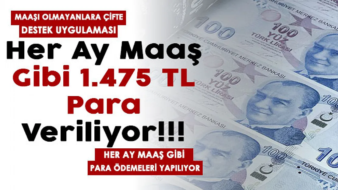 Maaşı olmayanlara çifte destek uygulaması devreye alındı! Her ay maaş gibi 1.475 lira para veriliyor
