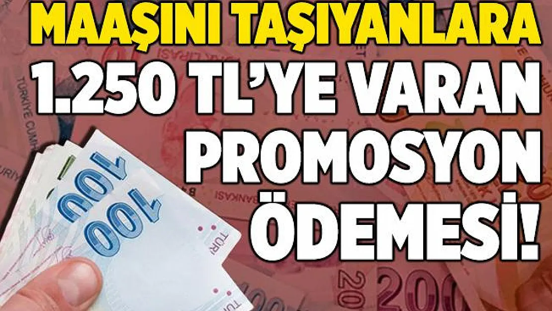 Maaşını Akbank'a taşıyanlara 1.250 TL promosyon ödemesi!