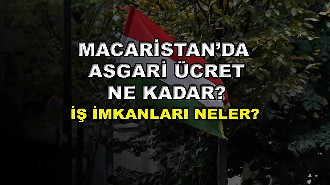 Macaristan'da Asgari Ücret Ne Kadar? İş İmkanları Nelerdir?
