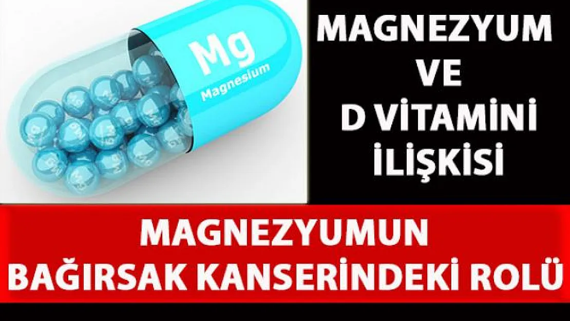 Magnezyum eksikliği, D vitamini sentezini ve metabolizma yolunu kapatıyor