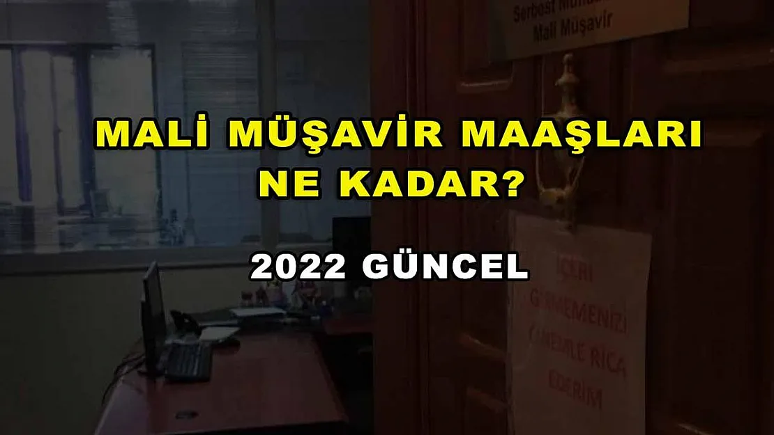 Mali Müşavir Maaşları Ne Kadar? 2022 Güncel