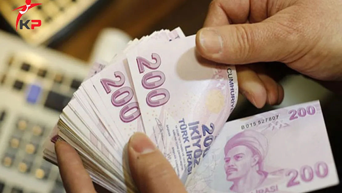 Maliye Bakanlığı 2016 Yılında 16 Milyon Lira Vergi Cezası Kesti