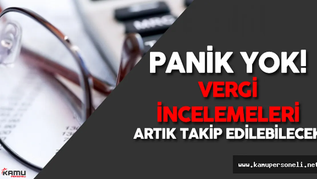 Maliye Bakanlığı'nın Vergi İncelemeleri İnternet Üzerinden Kontrol Edilebilecek