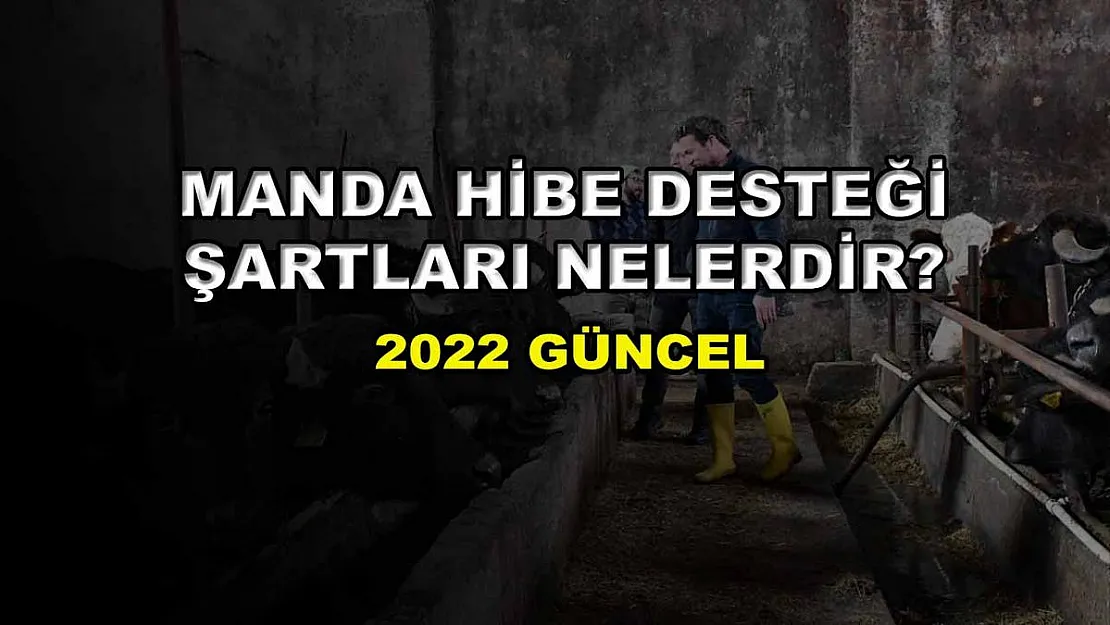 Manda Hibe Desteği Şartları Nelerdir? 2022 Güncel