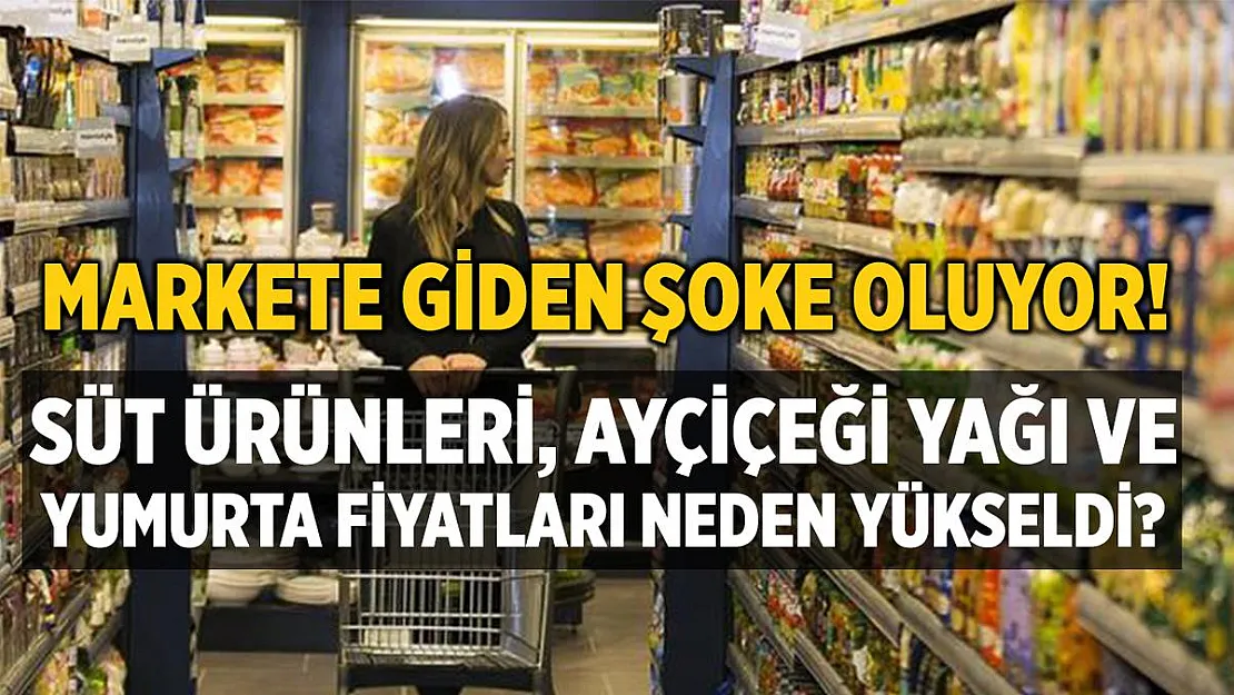 Markete giden vatandaşların cebini süt ürünleri, yumurta ve ayçiçeği yağı fiyatları yakıyor! Fiyatlar neden birden yükseldi?