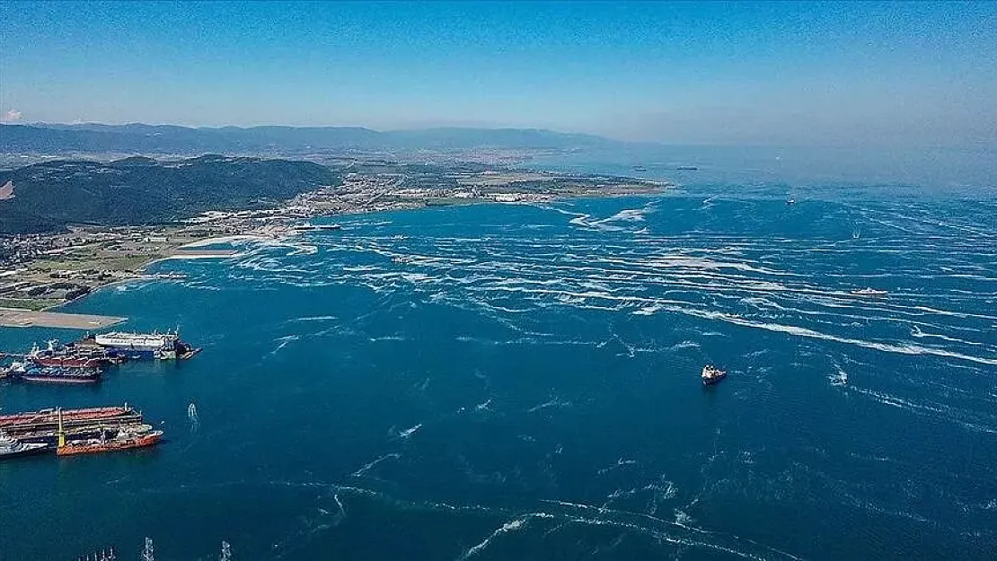 Marmara ve Karadeniz tehdit altında! Yabancı tür zehirli balıklar için acil uyarı verildi!