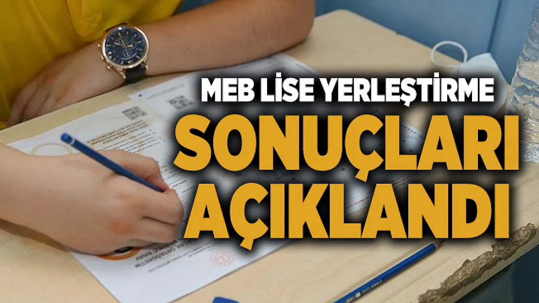 MEB yerleştirme sonuçları sorgu ekranı erişime açıldı! MEB Lise yerleştirme sonucu 2020 belli oldu