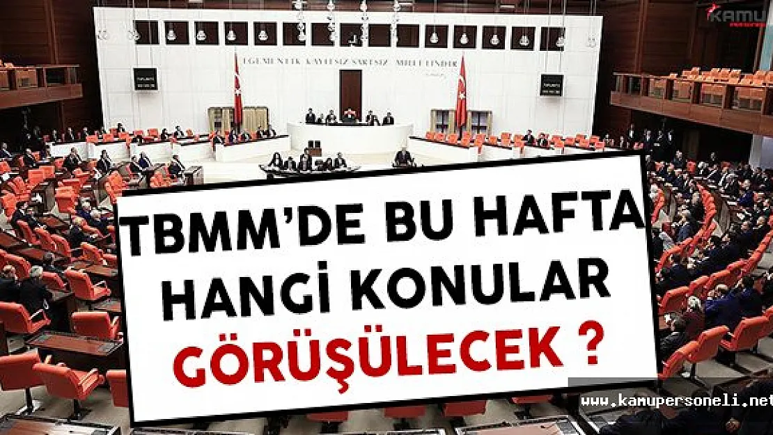 Meclis Gündeminde Bu Hafta Hangi Konular Görüşülecek ?