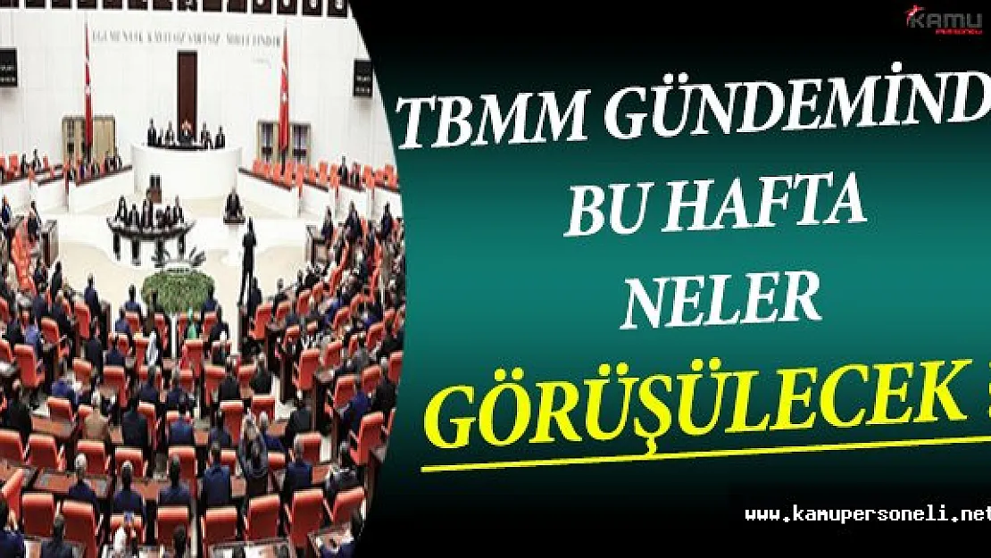 Meclis Gündeminde Bu Hafta Neler Görüşülecek ?