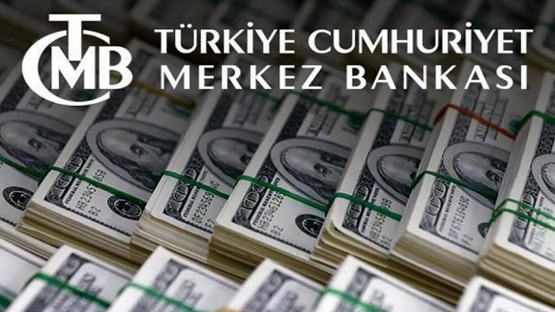 Merakla Beklenen Anket Sonuçları Açıklandı! Beklentiler Yükseldi: Dolar 19 Lira Olacak!