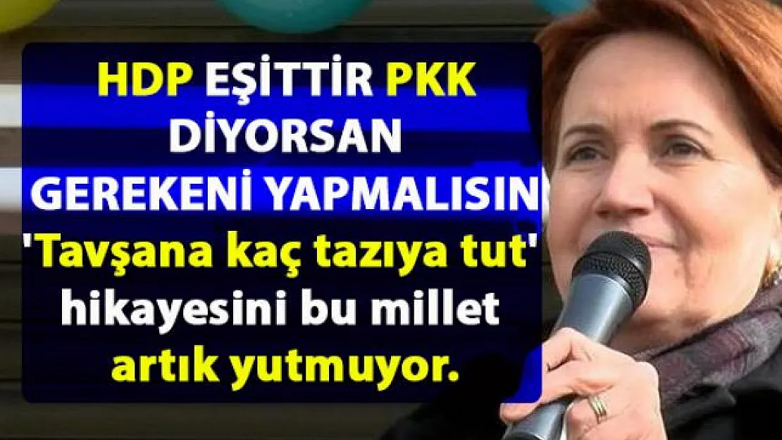 Meral Akşener, Erdoğan'a seslendi: HDP eşittir PKK diyorsanız gereğini yapmalısınız