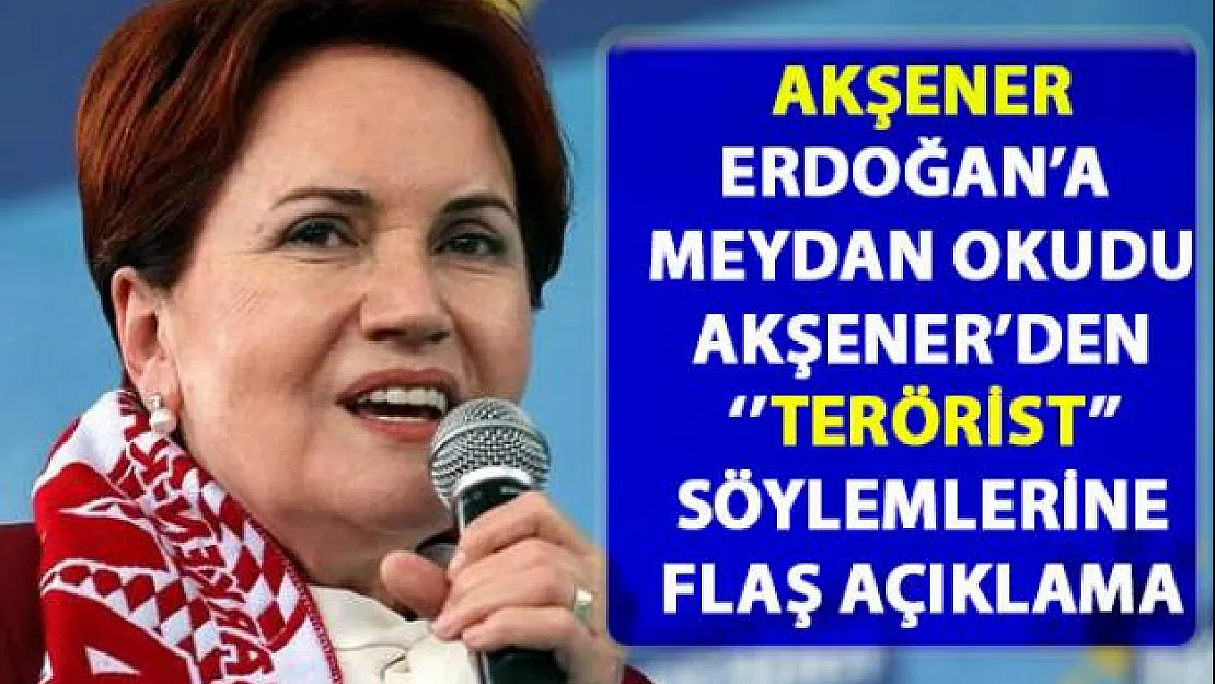 Meral Akşener, Erdoğan'ın hapis tehtidine meydan okudu! Akşener'den 'Terörist' söylemlerine flaş açıklama