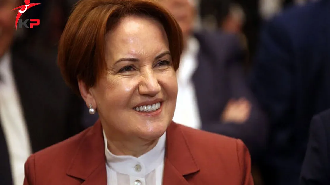 Meral Akşener'in Partisinin Logosu Belli Oldu!