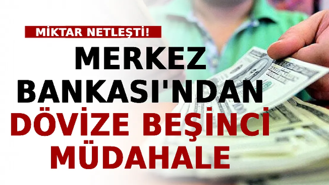 Merkez Bankası'ndan Dövize Beşinci Müdahale: Miktar Netleşti!