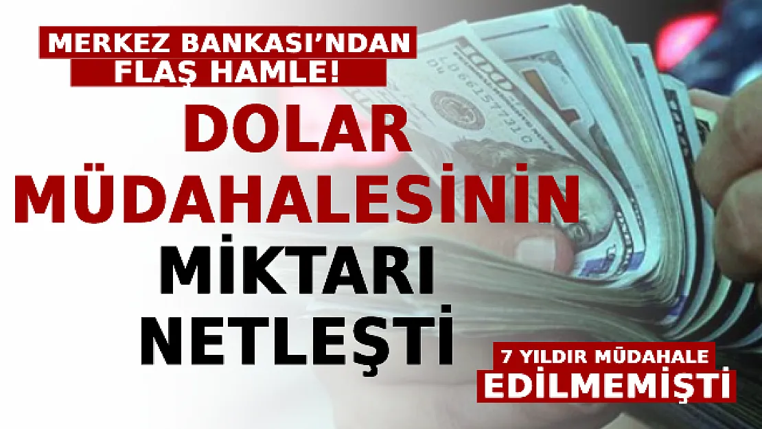 Merkez Bankası'ndan Flaş Hamle: Dolar Müdahalesinin Miktarı Netleşti