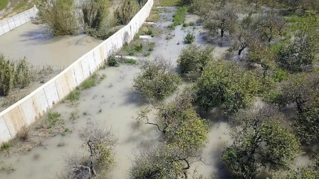 Mersin'de limon bahçeleri ve muz seralarını su bastı