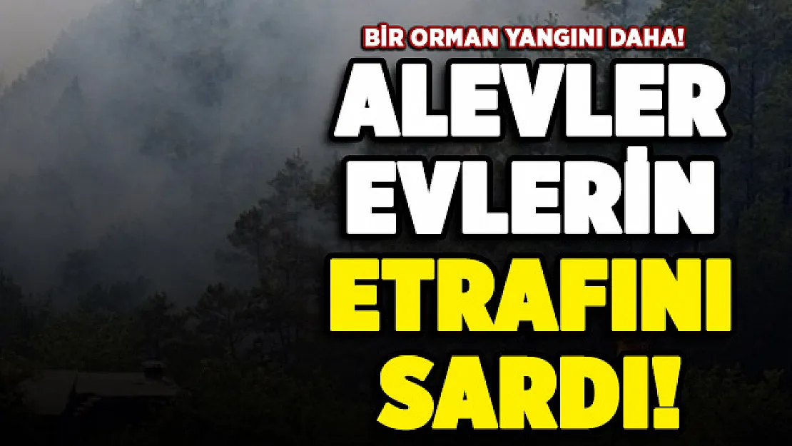 Mersin'de orman yangını! Alevler evlerin etrafını sardı