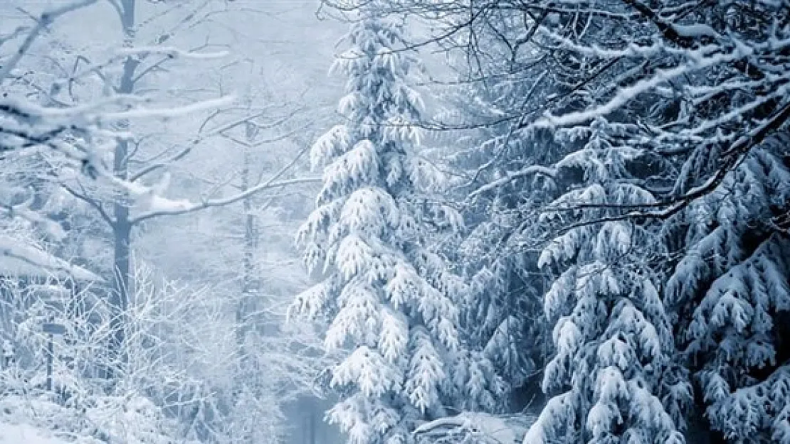 Meteoroloji acil uyardı: 23 il beyaza bürünecek! Lapa lapa kar yağışı başlıyor: Tedbirini almayan pişman olacak