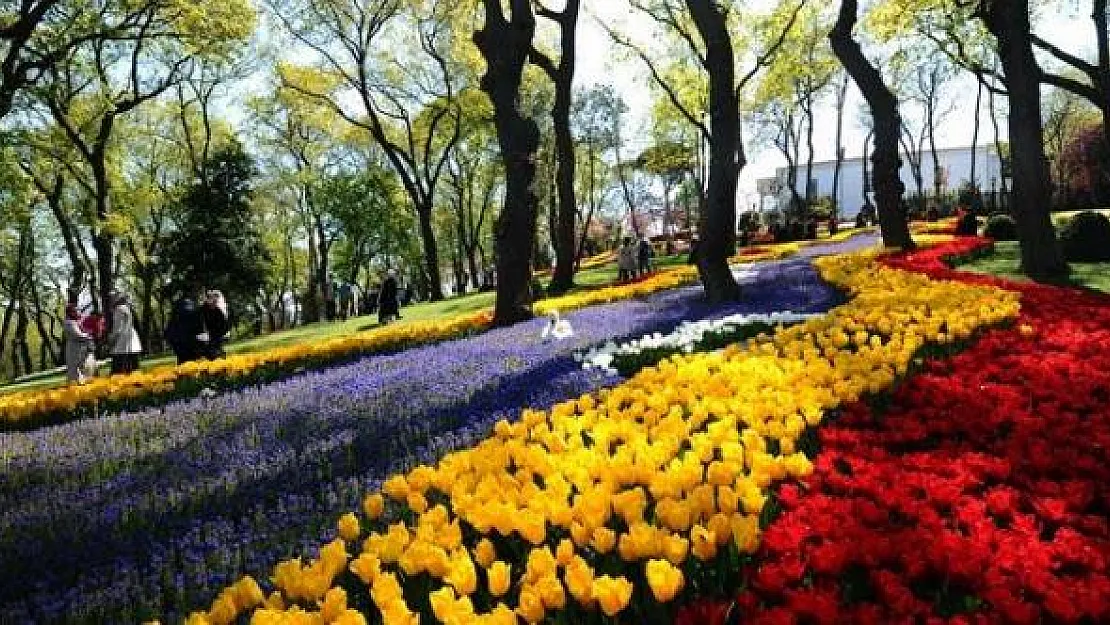 Meteoroloji'den Sevindiren Haber Geldi ! İkinci Bahar Geldi