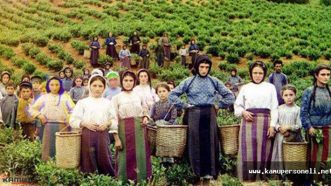 &quotMevsimlik Tarım İşçilerinin İhtiyaçları Karşılanacak"