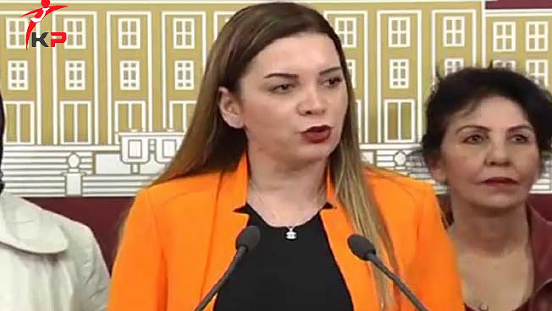 MHP'li Arzu Erdem'den Sınavsız Eğitim Modeli Açıklaması